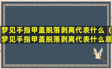 梦见手指甲盖脱落剥离代表什么（梦见手指甲盖脱落剥离代表什么意思）