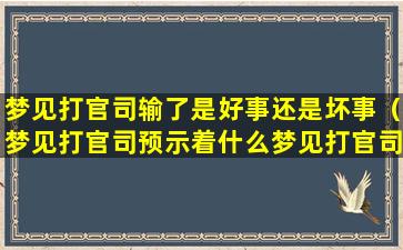 梦见打官司输了是好事还是坏事（梦见打官司预示着什么梦见打官司顺利）