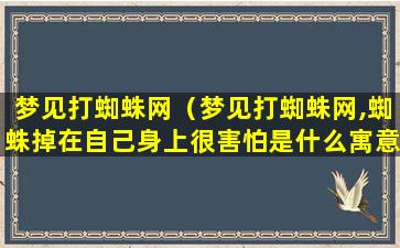 梦见打蜘蛛网（梦见打蜘蛛网,蜘蛛掉在自己身上很害怕是什么寓意）