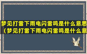 梦见打雷下雨电闪雷鸣是什么意思（梦见打雷下雨电闪雷鸣是什么意思幸运数字）