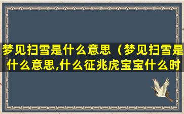 梦见扫雪是什么意思（梦见扫雪是什么意思,什么征兆虎宝宝什么时辰好）