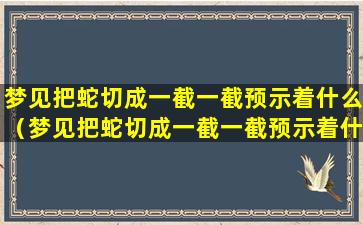 梦见把蛇切成一截一截预示着什么（梦见把蛇切成一截一截预示着什么意思）