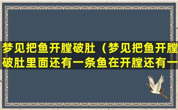 梦见把鱼开膛破肚（梦见把鱼开膛破肚里面还有一条鱼在开膛还有一条鱼）