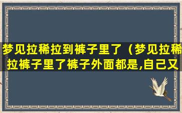 梦见拉稀拉到裤子里了（梦见拉稀拉裤子里了裤子外面都是,自己又大哭）