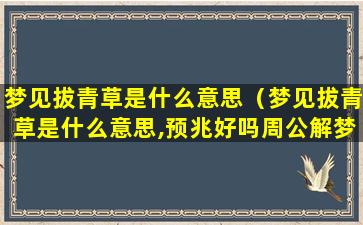 梦见拔青草是什么意思（梦见拔青草是什么意思,预兆好吗周公解梦）