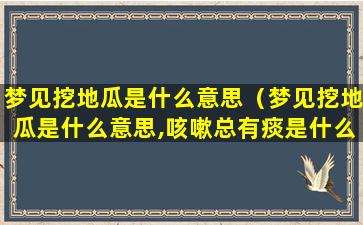 梦见挖地瓜是什么意思（梦见挖地瓜是什么意思,咳嗽总有痰是什么原因）