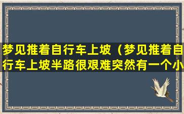 梦见推着自行车上坡（梦见推着自行车上坡半路很艰难突然有一个小男孩一起推）