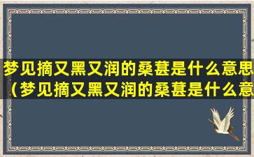 梦见摘又黑又润的桑葚是什么意思（梦见摘又黑又润的桑葚是什么意思呀）