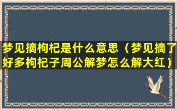 梦见摘枸杞是什么意思（梦见摘了好多枸杞子周公解梦怎么解大红）