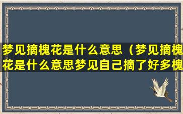 梦见摘槐花是什么意思（梦见摘槐花是什么意思梦见自己摘了好多槐花）