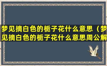 梦见摘白色的栀子花什么意思（梦见摘白色的栀子花什么意思周公解梦）