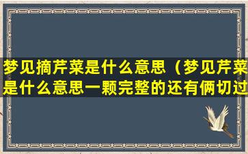 梦见摘芹菜是什么意思（梦见芹菜是什么意思一颗完整的还有俩切过的）