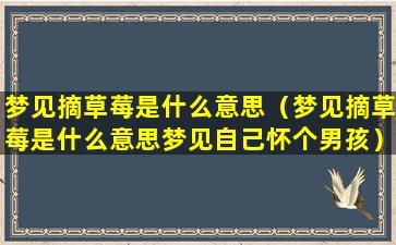 梦见摘草莓是什么意思（梦见摘草莓是什么意思梦见自己怀个男孩）