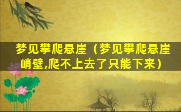 梦见攀爬悬崖（梦见攀爬悬崖峭壁,爬不上去了只能下来）