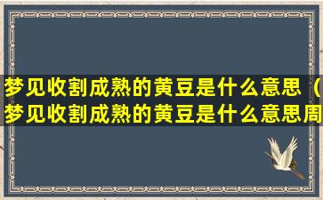 梦见收割成熟的黄豆是什么意思（梦见收割成熟的黄豆是什么意思周公解梦）