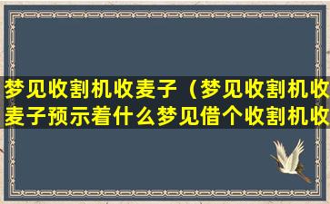 梦见收割机收麦子（梦见收割机收麦子预示着什么梦见借个收割机收麦子）