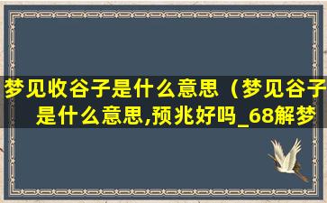 梦见收谷子是什么意思（梦见谷子是什么意思,预兆好吗_68解梦）