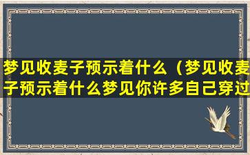 梦见收麦子预示着什么（梦见收麦子预示着什么梦见你许多自己穿过的衣服）