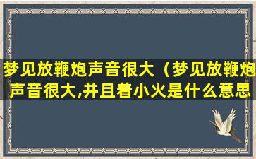 梦见放鞭炮声音很大（梦见放鞭炮声音很大,并且着小火是什么意思）