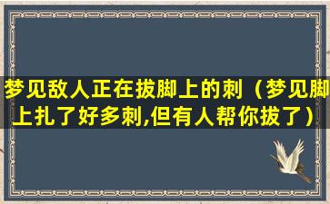 梦见敌人正在拔脚上的刺（梦见脚上扎了好多刺,但有人帮你拔了）