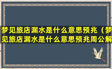 梦见旅店漏水是什么意思预兆（梦见旅店漏水是什么意思预兆周公解梦）