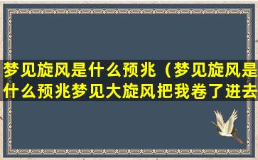 梦见旋风是什么预兆（梦见旋风是什么预兆梦见大旋风把我卷了进去了躲了起来）