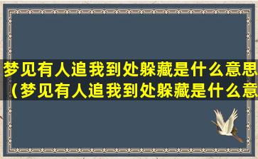 梦见有人追我到处躲藏是什么意思（梦见有人追我到处躲藏是什么意思最后警察叔叔救了我）