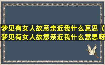 梦见有女人故意亲近我什么意思（梦见有女人故意亲近我什么意思呀）