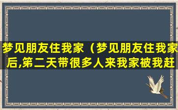 梦见朋友住我家（梦见朋友住我家后,笫二天带很多人来我家被我赶走了）