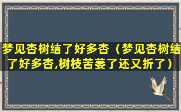 梦见杏树结了好多杏（梦见杏树结了好多杏,树枝苦萎了还又折了）