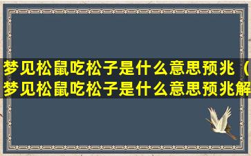 梦见松鼠吃松子是什么意思预兆（梦见松鼠吃松子是什么意思预兆解梦）