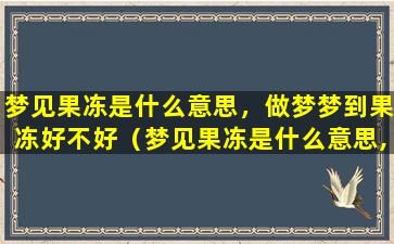 梦见果冻是什么意思，做梦梦到果冻好不好（梦见果冻是什么意思,做梦梦到果冻好不好呀）