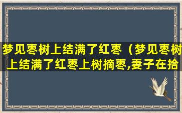 梦见枣树上结满了红枣（梦见枣树上结满了红枣上树摘枣,妻子在拾枣）