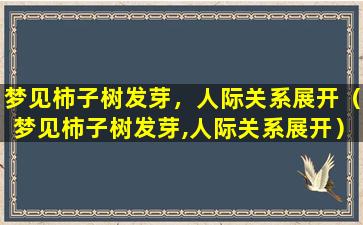 梦见柿子树发芽，人际关系展开（梦见柿子树发芽,人际关系展开）