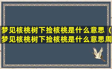 梦见核桃树下捡核桃是什么意思（梦见核桃树下捡核桃是什么意思周公解梦）