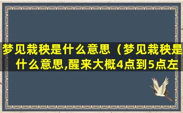 梦见栽秧是什么意思（梦见栽秧是什么意思,醒来大概4点到5点左右）