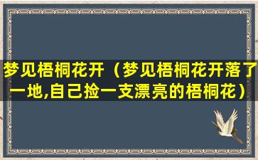 梦见梧桐花开（梦见梧桐花开落了一地,自己捡一支漂亮的梧桐花）