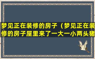 梦见正在装修的房子（梦见正在装修的房子屋里来了一大一小两头猪什么意思）