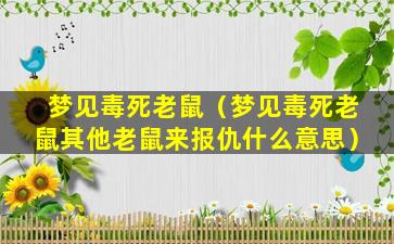 梦见毒死老鼠（梦见毒死老鼠其他老鼠来报仇什么意思）