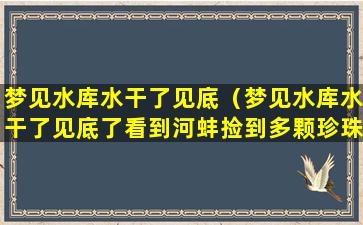 梦见水库水干了见底（梦见水库水干了见底了看到河蚌捡到多颗珍珠）