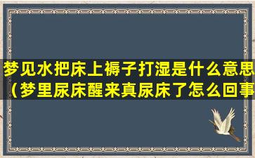 梦见水把床上褥子打湿是什么意思（梦里尿床醒来真尿床了怎么回事）