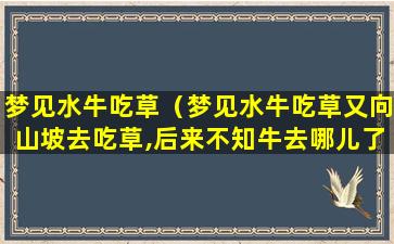 梦见水牛吃草（梦见水牛吃草又向山坡去吃草,后来不知牛去哪儿了）