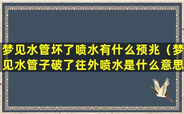 梦见水管坏了喷水有什么预兆（梦见水管子破了往外喷水是什么意思）