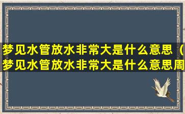 梦见水管放水非常大是什么意思（梦见水管放水非常大是什么意思周公解梦）