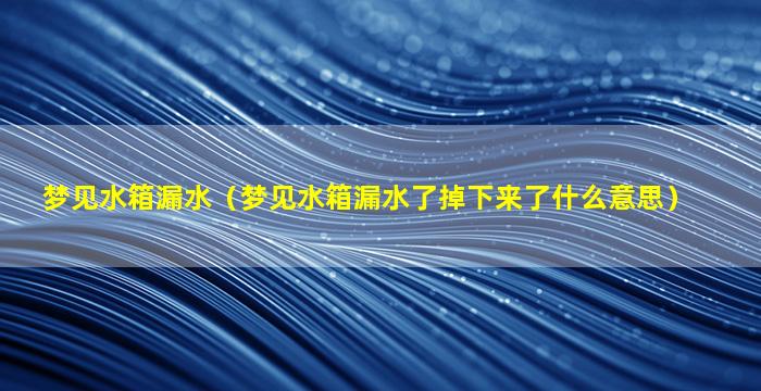 梦见水箱漏水（梦见水箱漏水了掉下来了什么意思）