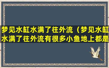 梦见水缸水满了往外流（梦见水缸水满了往外流有很多小鱼地上都是水）