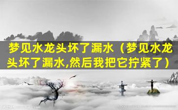 梦见水龙头坏了漏水（梦见水龙头坏了漏水,然后我把它拧紧了）