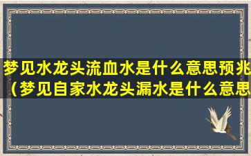 梦见水龙头流血水是什么意思预兆（梦见自家水龙头漏水是什么意思）