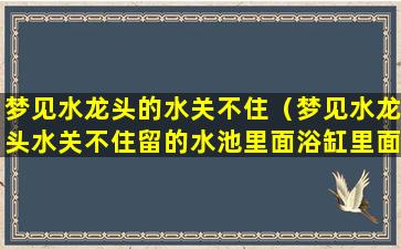 梦见水龙头的水关不住（梦见水龙头水关不住留的水池里面浴缸里面全是水）