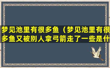 梦见池里有很多鱼（梦见池里有很多鱼又被别人拿弓箭走了一些是什么意思）